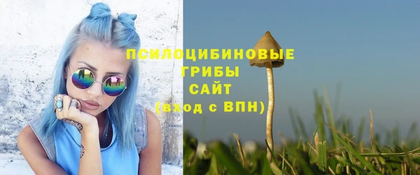 амф Заволжье
