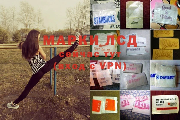 амф Заволжье