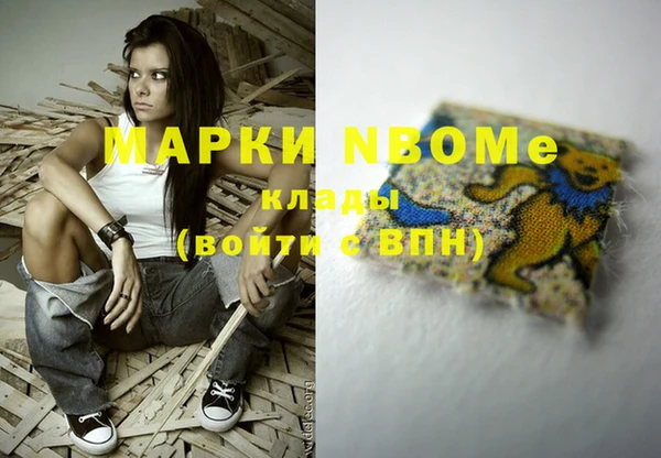 амф Заволжье